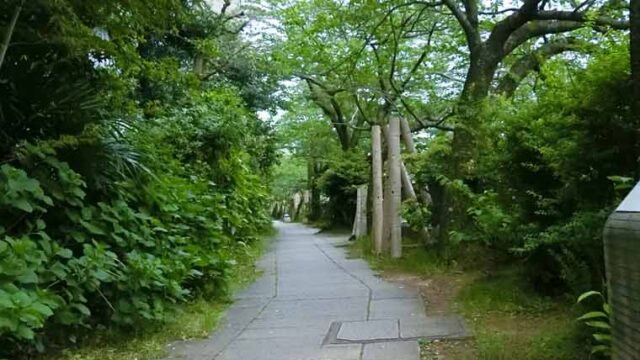 伊東オススメ観光スポット『松川遊歩道』は歩くだけで癒される