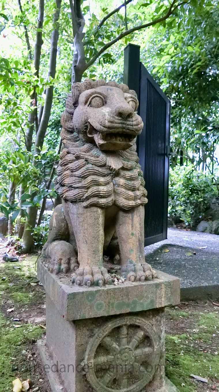 伊東の佛現寺の狛犬